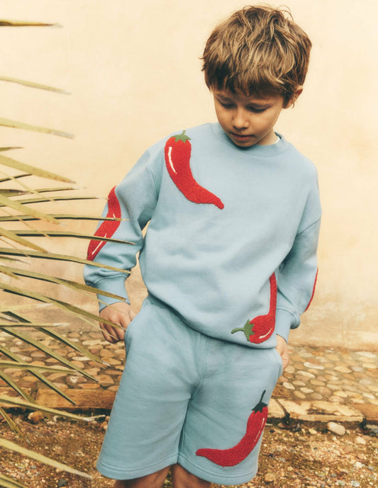 Boden Boys Fun Sweatshirt-Seamist Blue Chillies