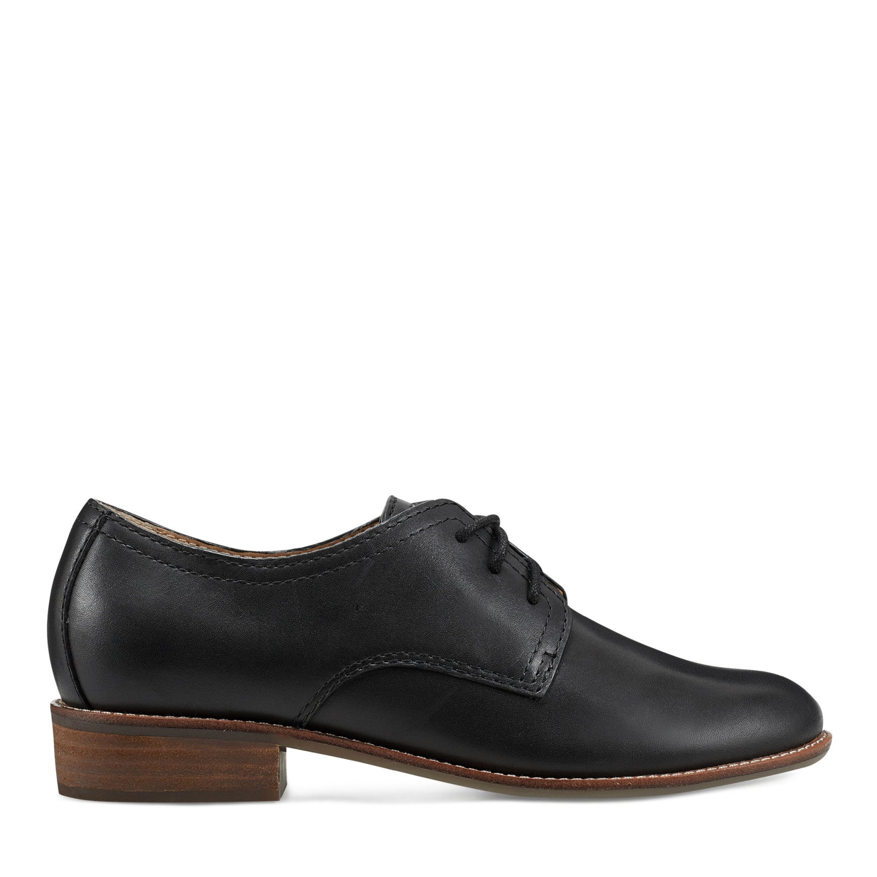Earth Shoes Eane Stacked Heel Casual Lace-Up Loafers