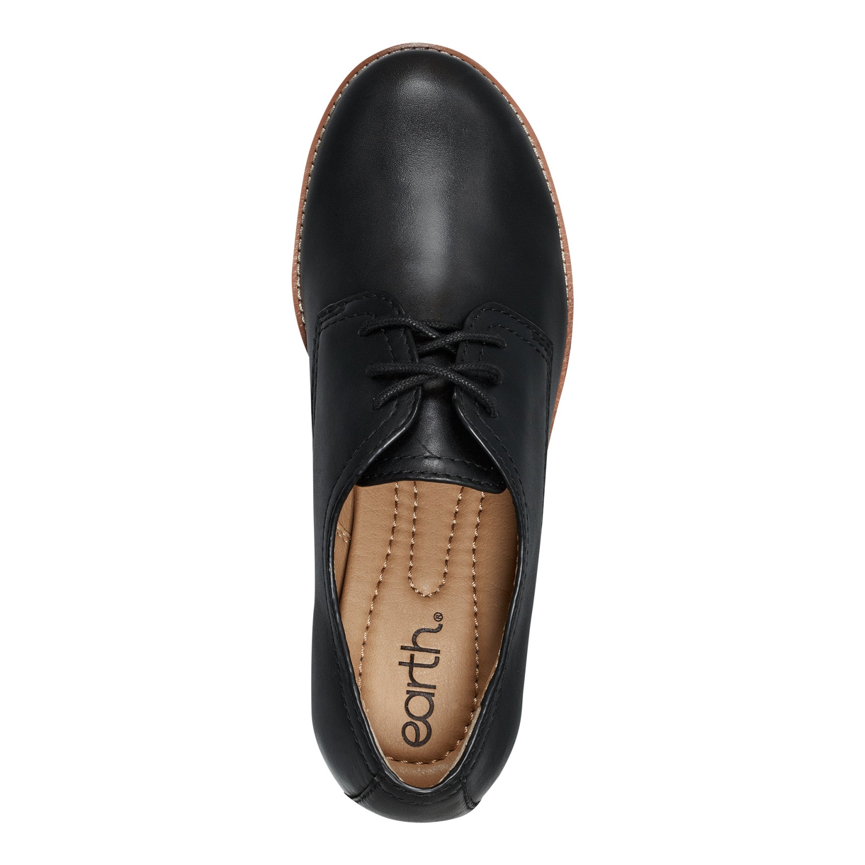 Earth Shoes Eane Stacked Heel Casual Lace-Up Loafers